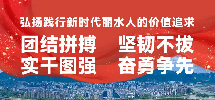 奮進十五五·戎耀麗水 | “兵站長”沈永淼在全省培訓班上作經...