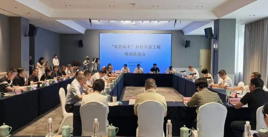 “旅居麗水”鄉村共富工程現場推進會在龍泉召開